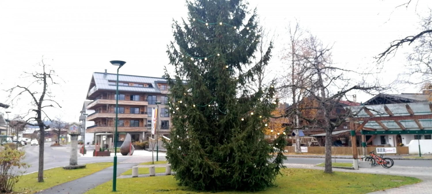 weihnachtsbaum_2021_4.jpg