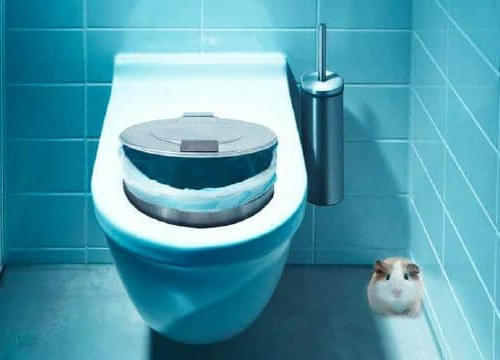 ...-das-WC-keine-Hygiene-Box-ist